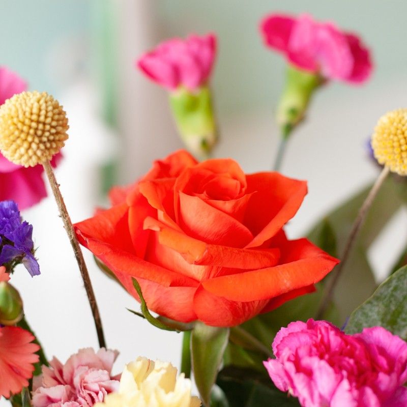 Brievenbuspakket met verschillende kleuren bloemen