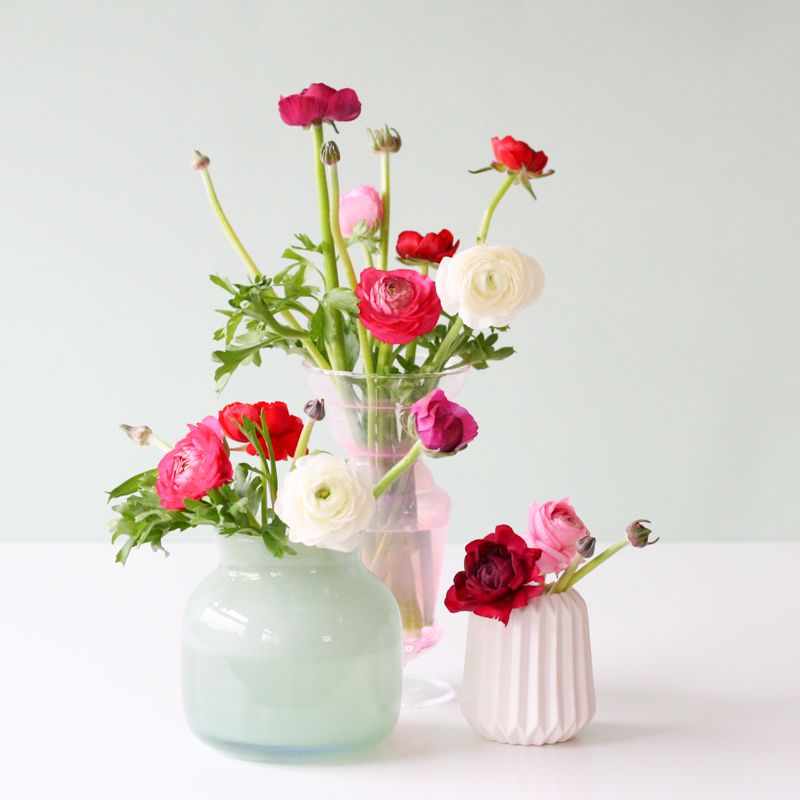 backend-media_library.no_image_found