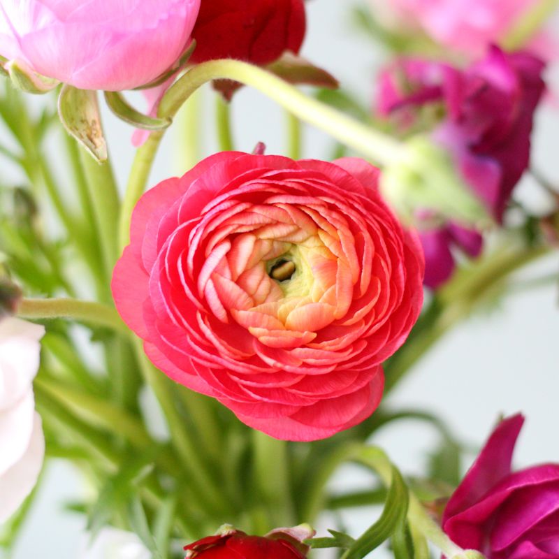 backend-media_library.no_image_found