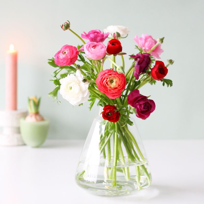 backend-media_library.no_image_found