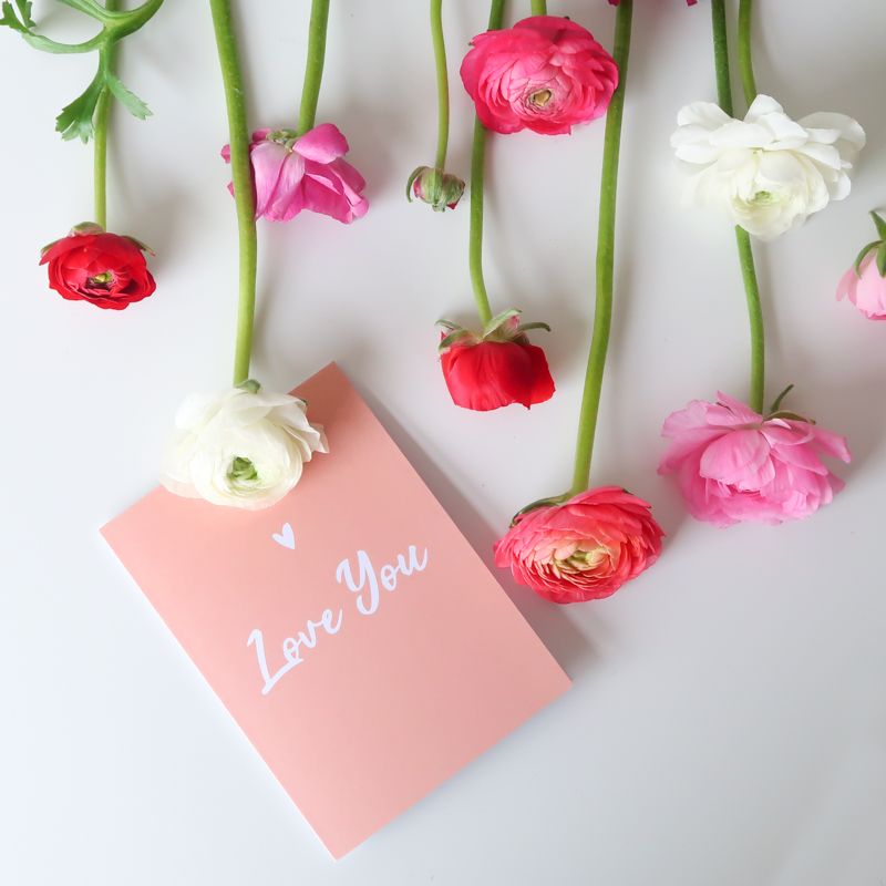 backend-media_library.no_image_found