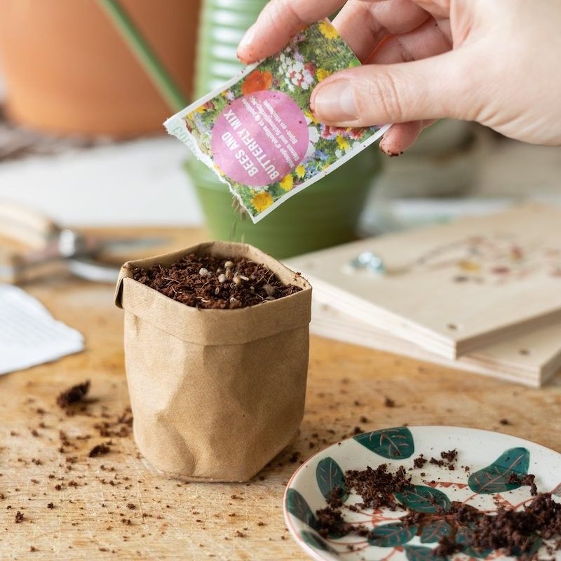 Brievenbuspakketje met een bloemenpers en zaden om op te kweken