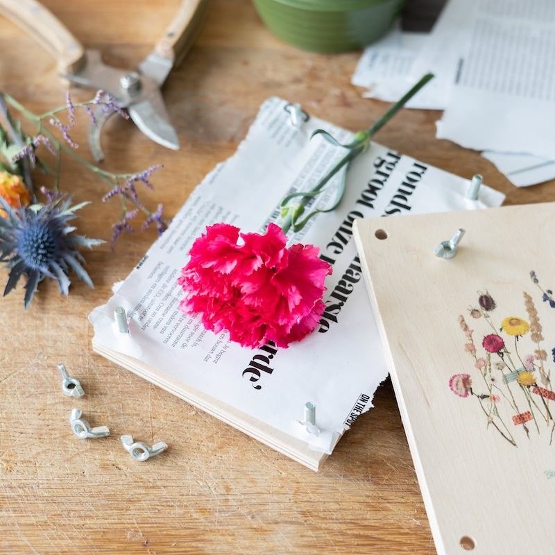 Brievenbuspakketje met een bloemenpers en zaden om op te kweken