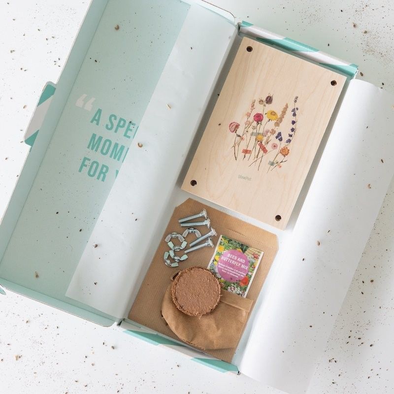 Brievenbuspakketje met een bloemenpers en zaden om op te kweken