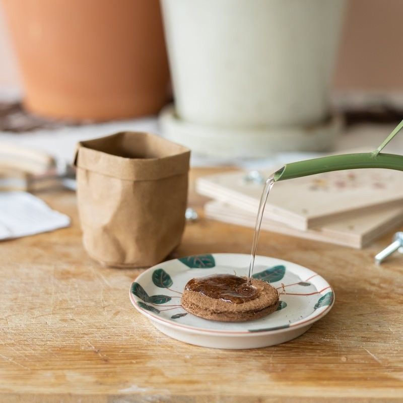 Brievenbuspakketje met een bloemenpers en zaden om op te kweken