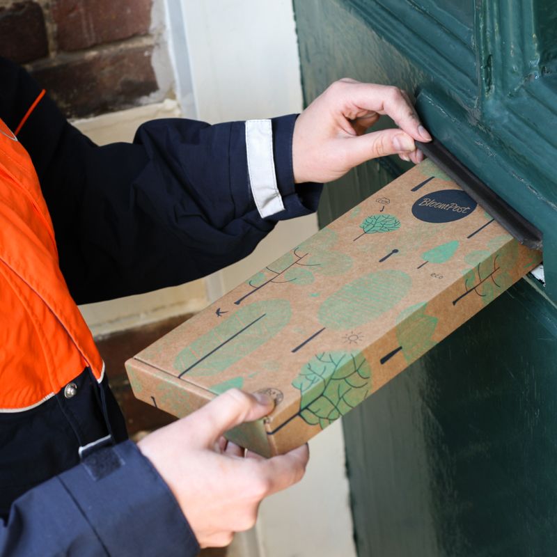 backend-media_library.no_image_found