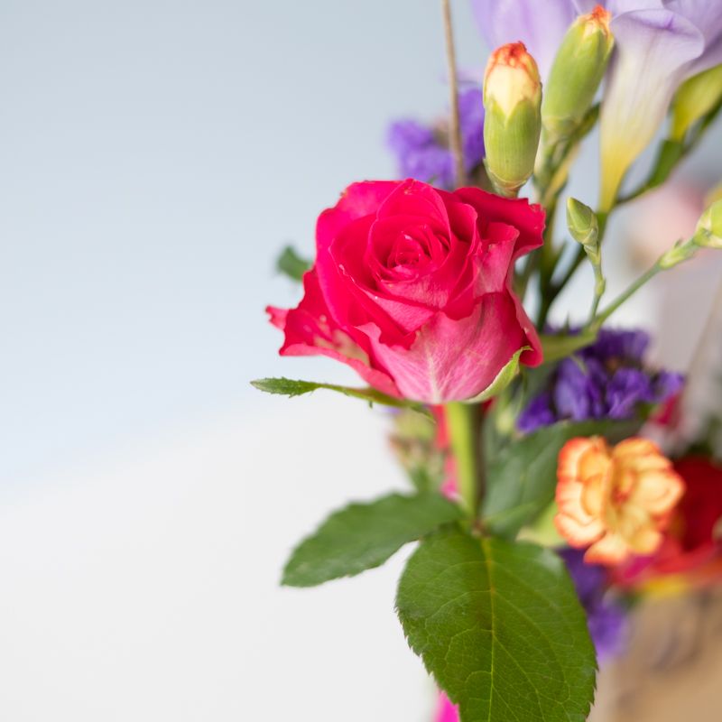 backend-media_library.no_image_found