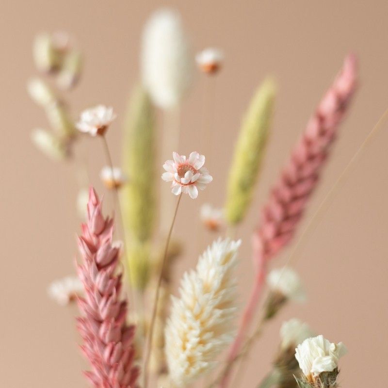 shine a light - kaarsen - droogbloemen - bloompost