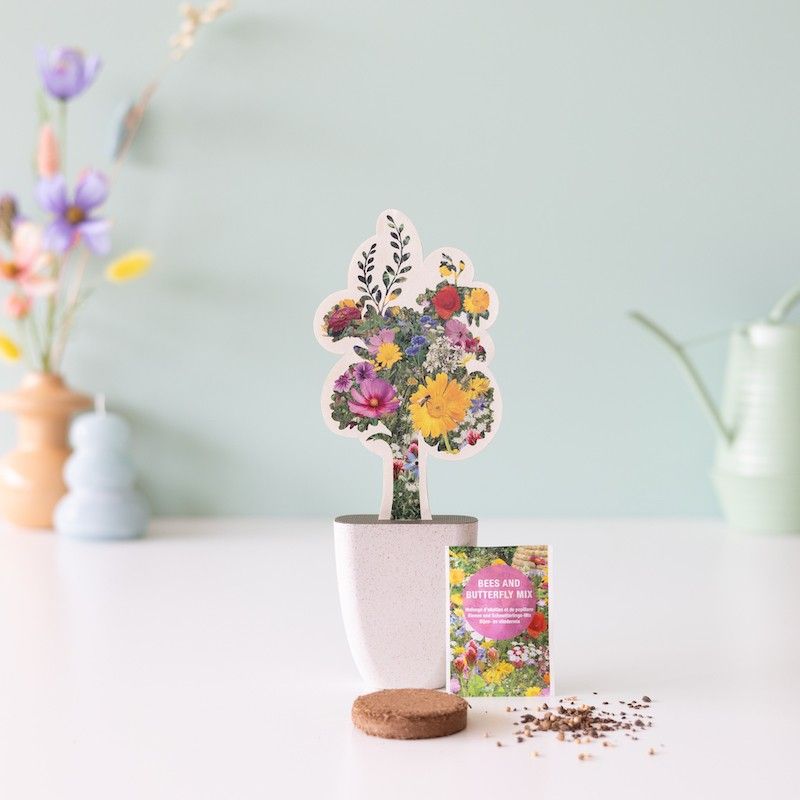 zaden-bijen-en-vlinder