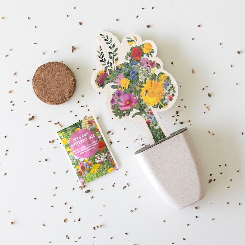 zaden-bijen-en-vlinder