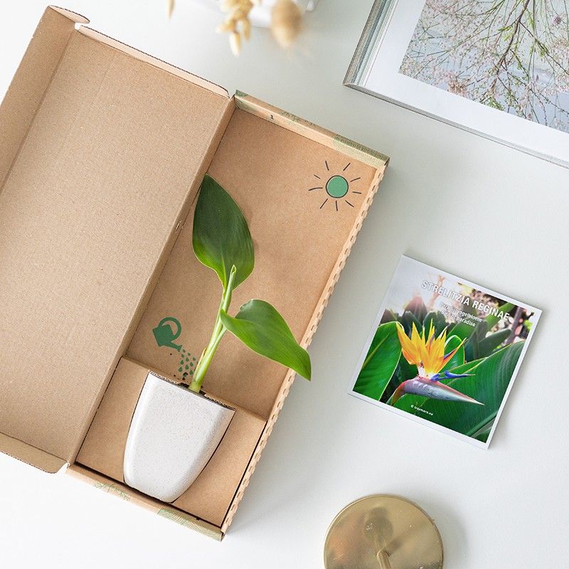 goedkope moederdag cadeaus