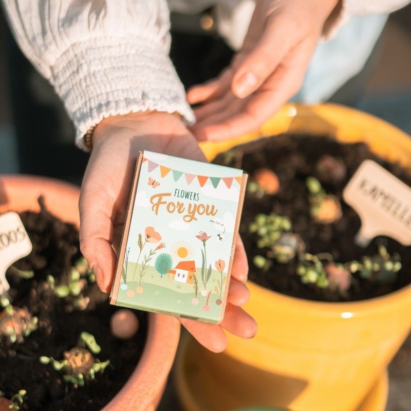 Doosje met vier zaaibommetjes met biologische wilde zaden met de tekst for you erop