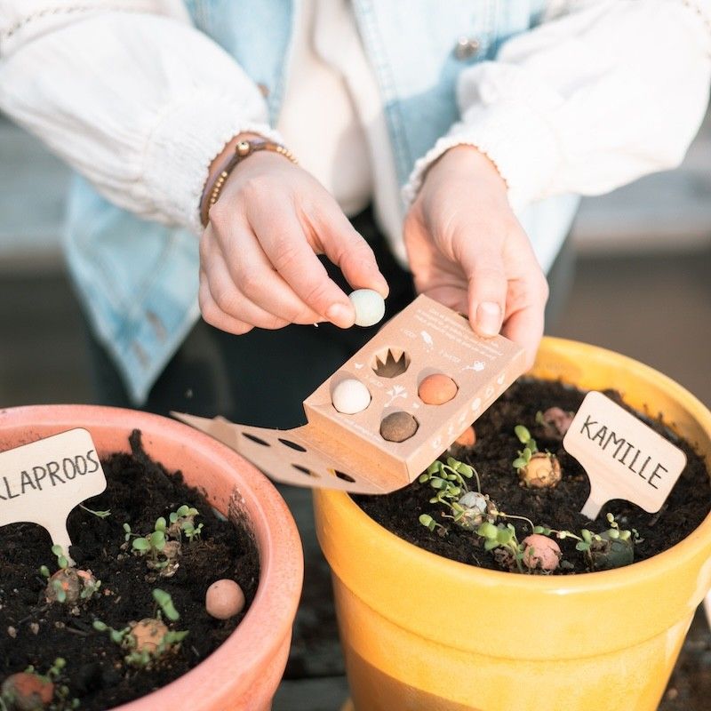 Doosje met vier zaaibommetjes met biologische wilde zaden met de tekst for you erop