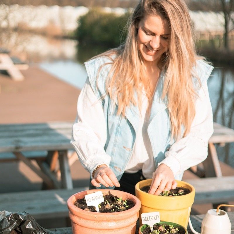 Doosje met vier zaaibommetjes met biologische wilde zaden met de tekst for you erop
