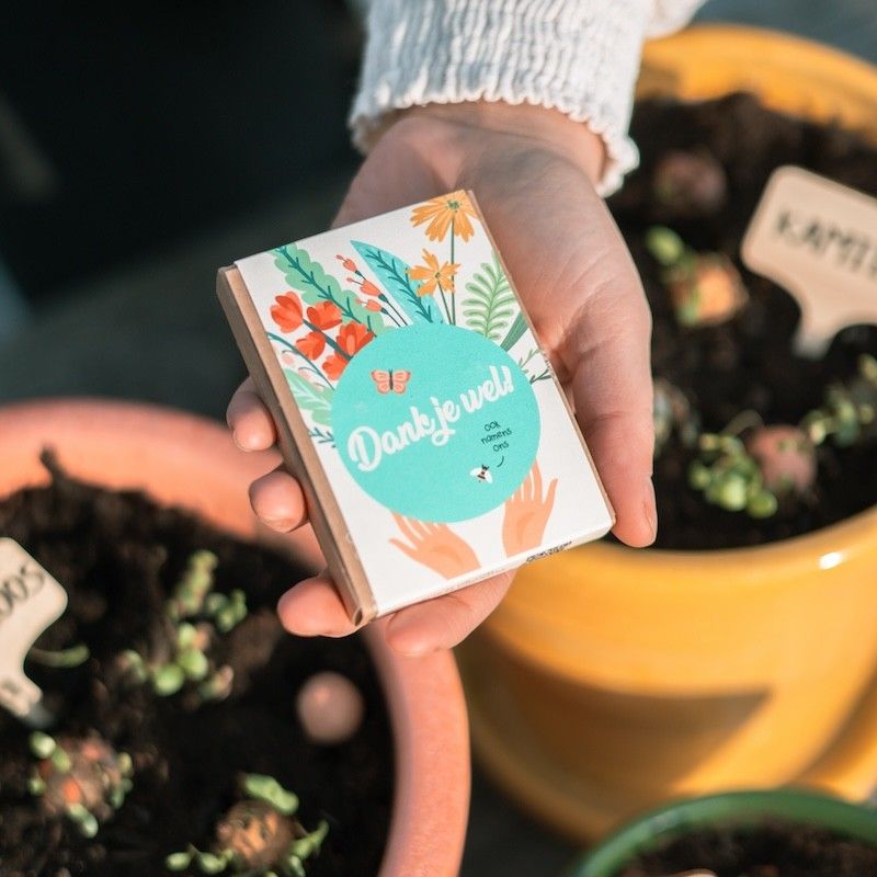 Doosje met vier zaaibommetjes met biologische wilde bloemzaden met de tekst dankjewel erop