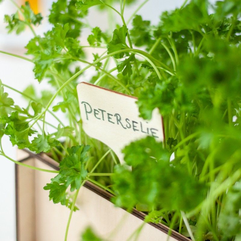 Kruidentuintje - brievenbuscadeau - BloomPost