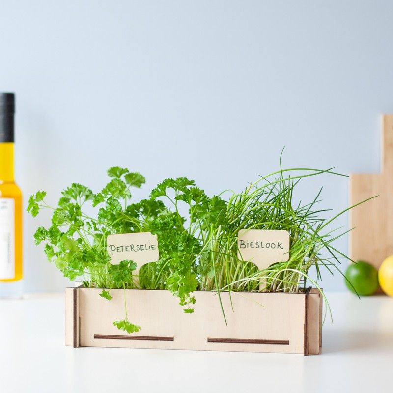 Kruidentuintje - brievenbuscadeau - BloomPost