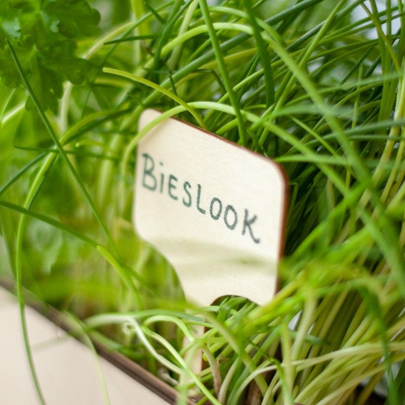 Kruidentuintje - brievenbuscadeau - BloomPost