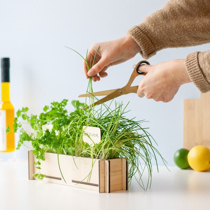 Kruidentuintje - brievenbuscadeau - BloomPost