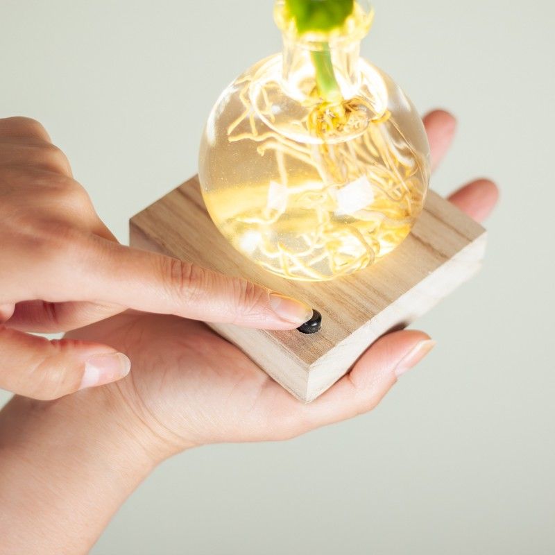 lichtplantje met houten plankje met licht, een vaasje en een monstera plantje op water