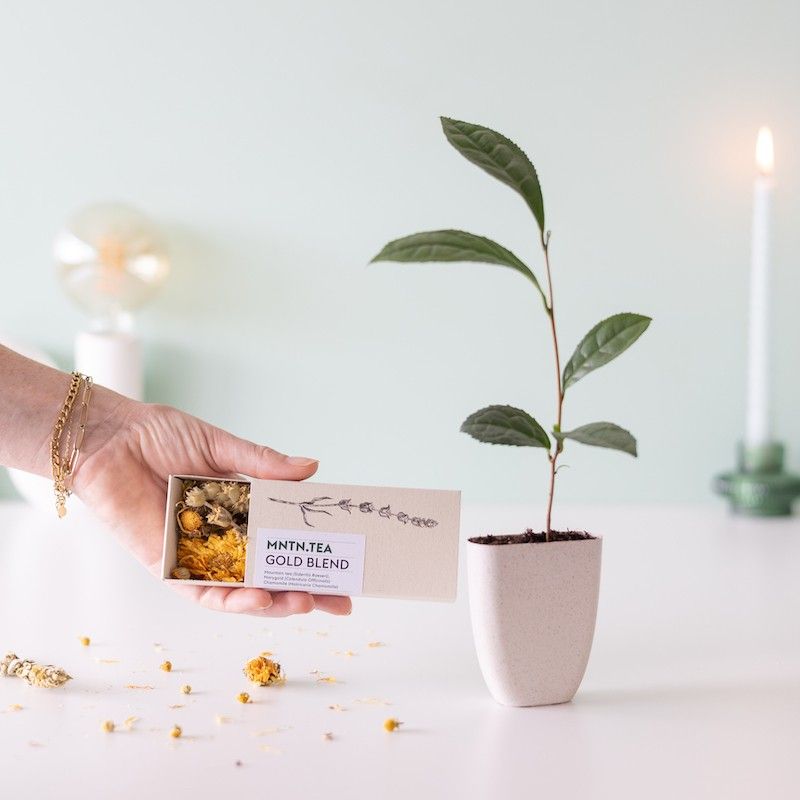 Brievenbus theeplantje en doosje thee in de smaak calendula en kamille