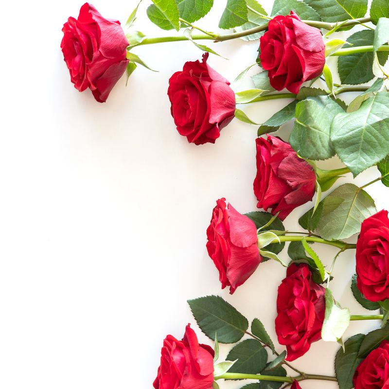 backend-media_library.no_image_found