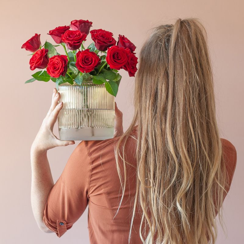 backend-media_library.no_image_found