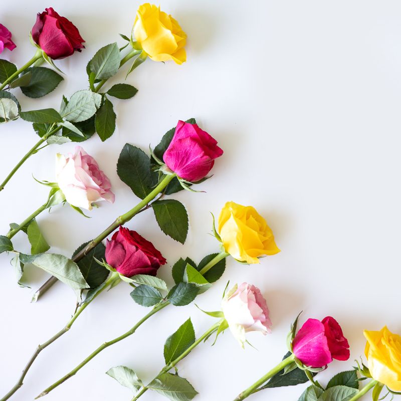 Brievenbuspakketje met rozen in geel, roze en rode tinten