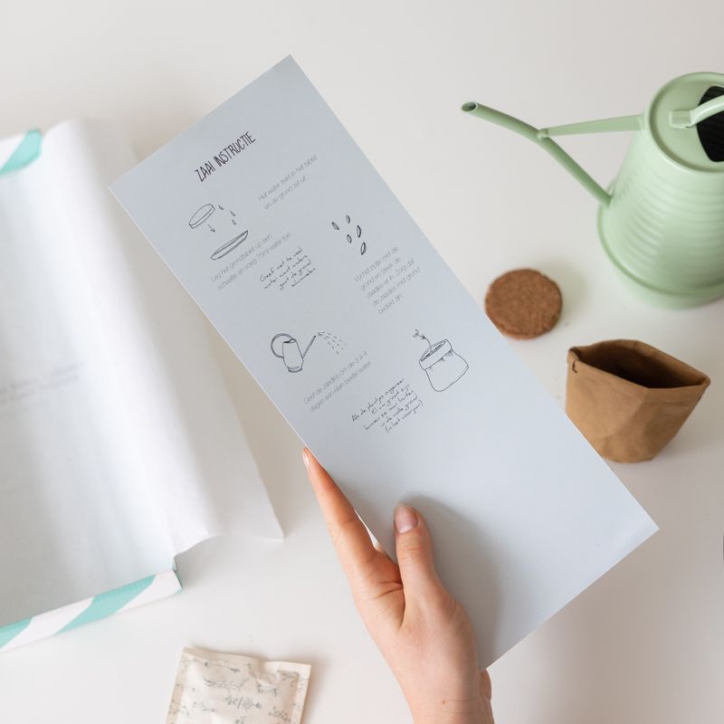 success-zaaien-zaden