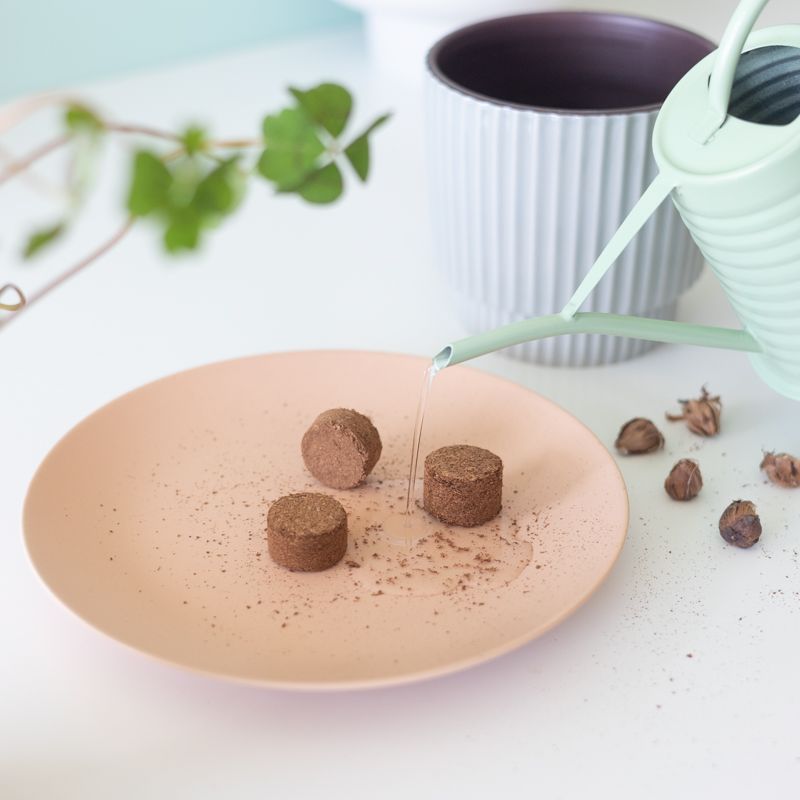 Gietertje dat water schenkt op een oranje bord met drie grondtabletten, met een bloempot en klavertje vier bollen op de achtergrond.