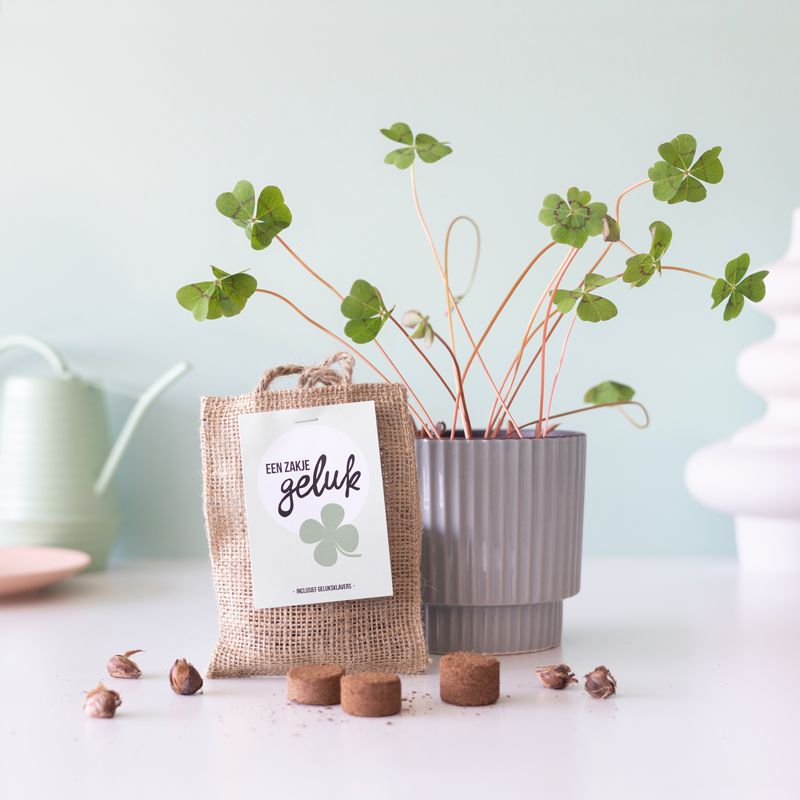 17 Leuke Cadeautjes Voor Een Zwangere Vrouw En Aanstaande Moeder