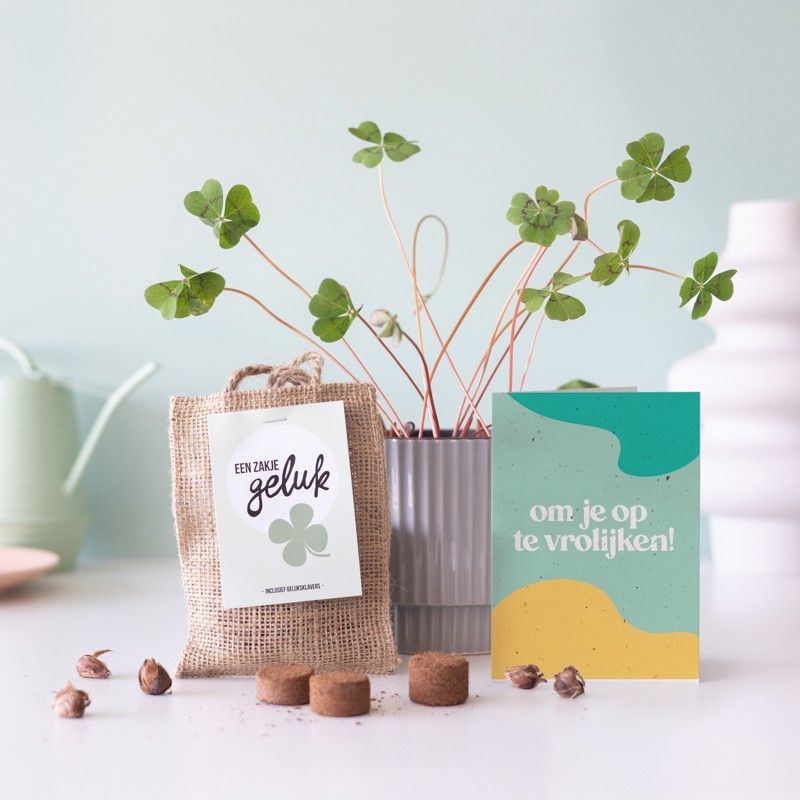 Een jute zakje met het label 'Een zakje geluk', gevuld met klavertje vier bollen, liggend in de verpakking.