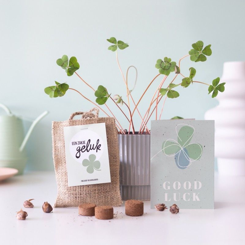 Een bloempot met klavertjes vier, een juten zakje ervoor met klavertje vier bollen erin. Ernaast staat een wenskaart met de tekst 'Good luck'.