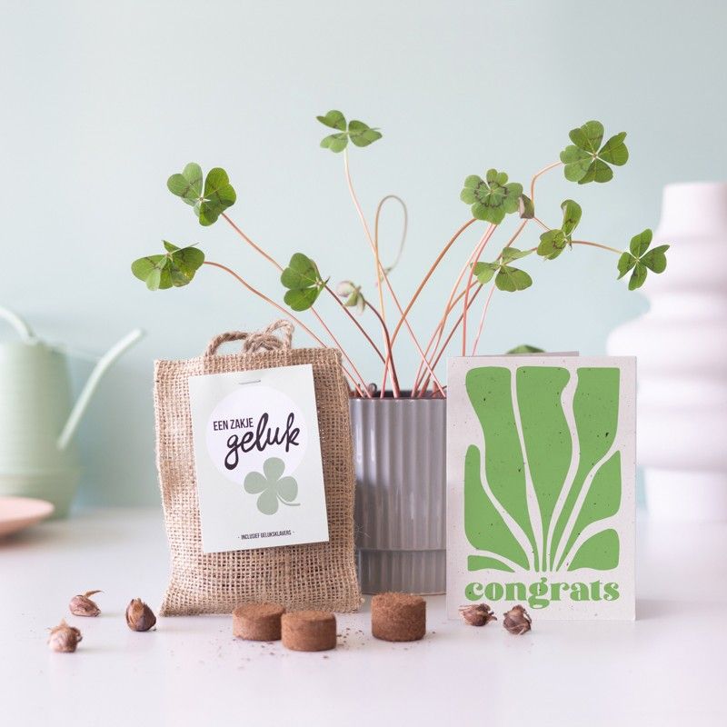 Een bloempot met klaverplantjes met een juten zakje ervoor en een wenskaart met 'congrats' erop geschreven.