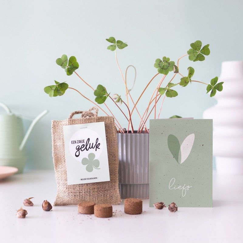 Een bloempot met klavertjes vier, een juten zakje ervoor met klavertje vier bollen erin. Ernaast staat een wenskaart met de tekst 'liefs'.