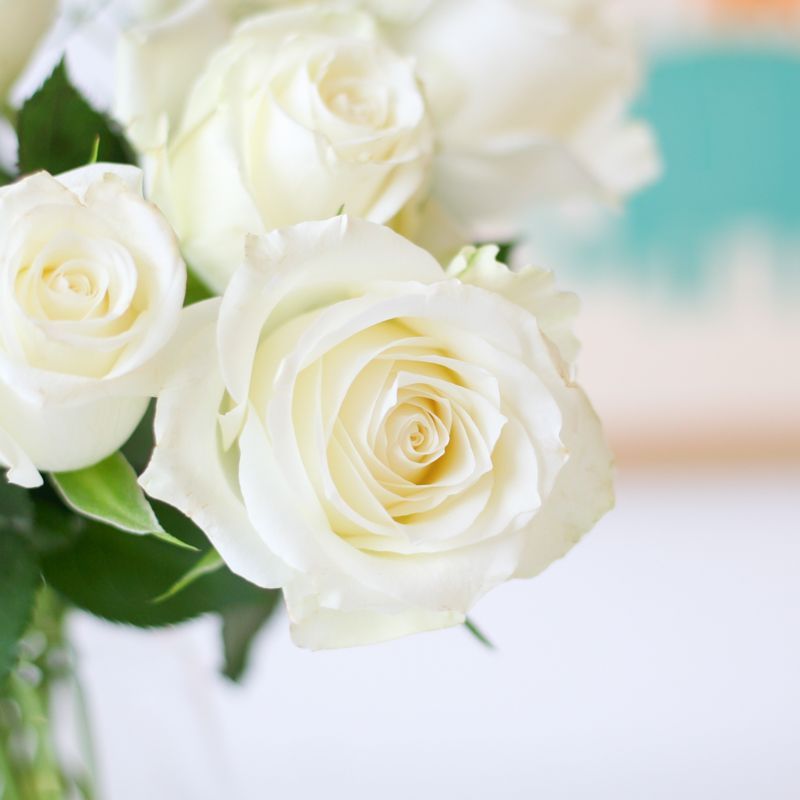 backend-media_library.no_image_found