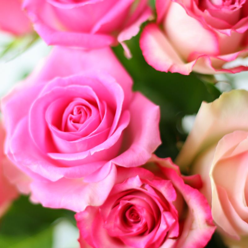 backend-media_library.no_image_found