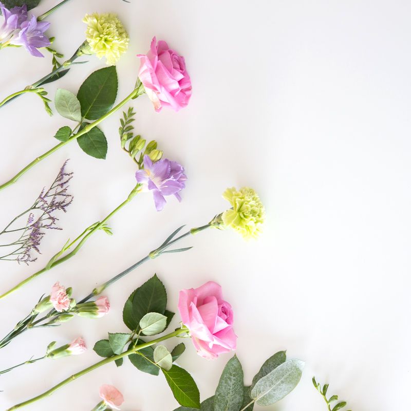 backend-media_library.no_image_found