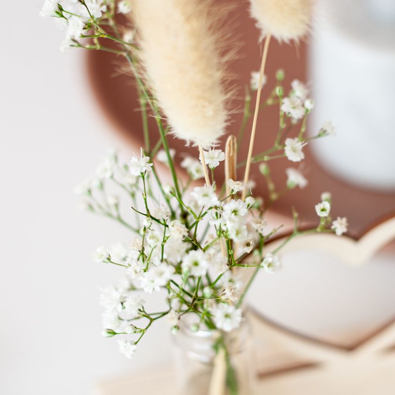 backend-media_library.no_image_found