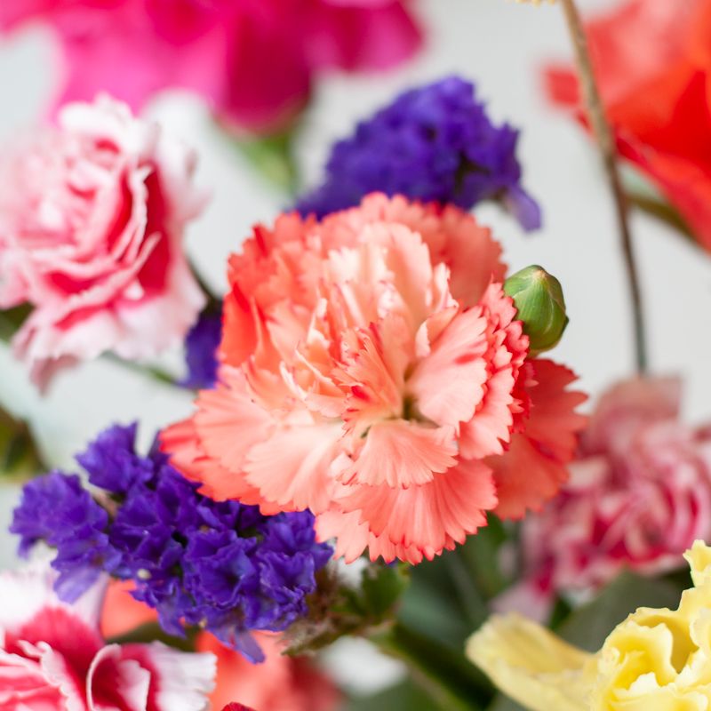 Brievenbuspakket met verschillende kleuren bloemen