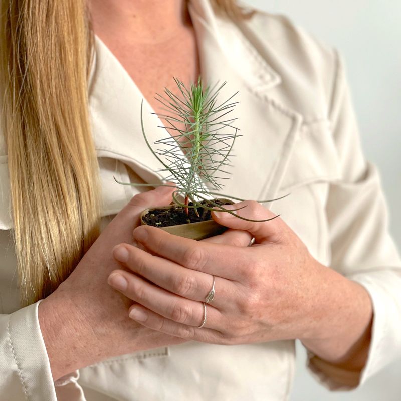 backend-media_library.no_image_found