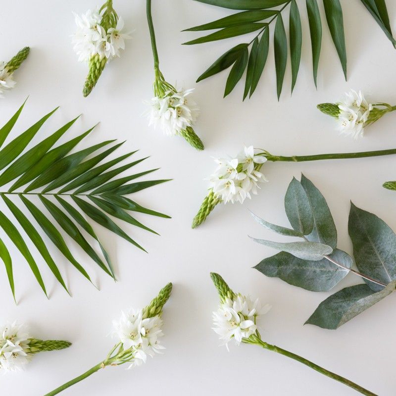 Brievenbuspakketje met witte zuidenwindlelies