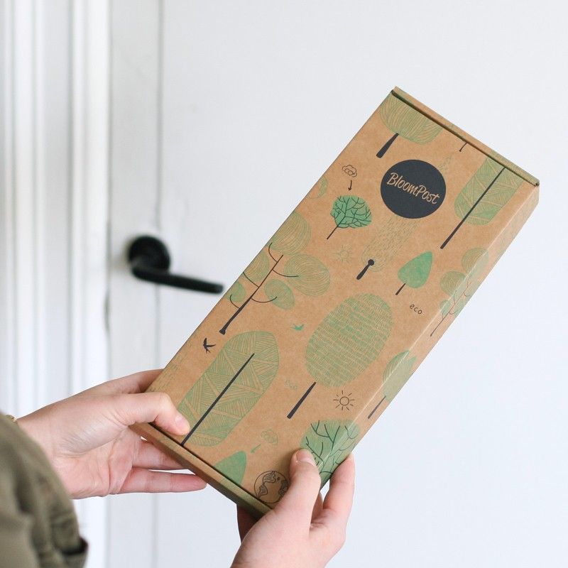 Feestelijk olijfboompje met een ster clip voor Kerst