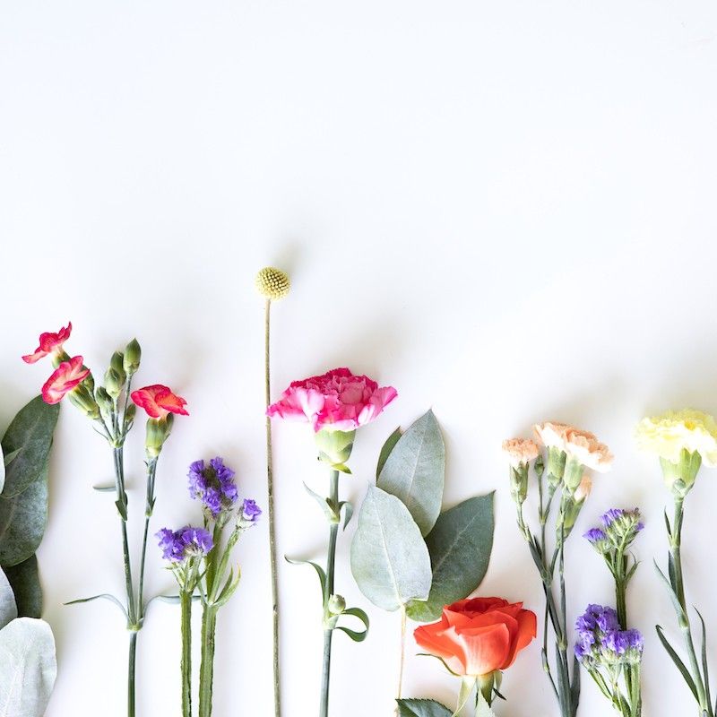 Brievenbuspakket met verschillende kleuren bloemen