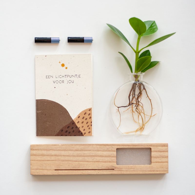 Brievenbus lichtplantje met houten plankje met licht, een vaasje en Clusia plantje. Er is ruimte in het plankje voor een wenskaart