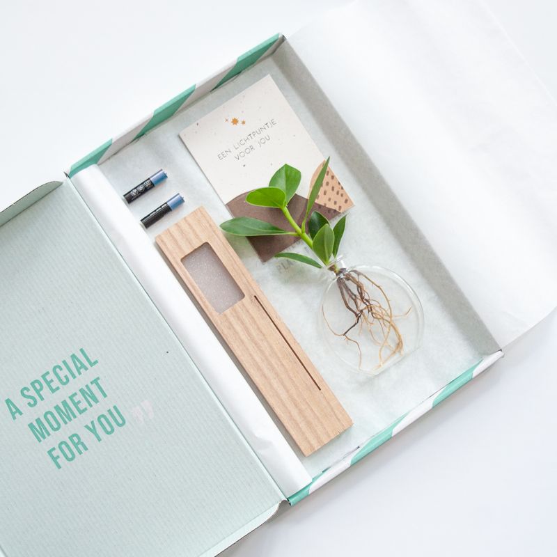 Brievenbus lichtplantje met houten plankje met licht, een vaasje en Clusia plantje. Er is ruimte in het plankje voor een wenskaart