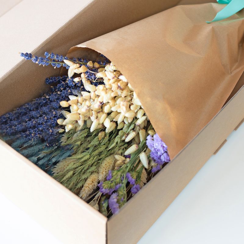 backend-media_library.no_image_found