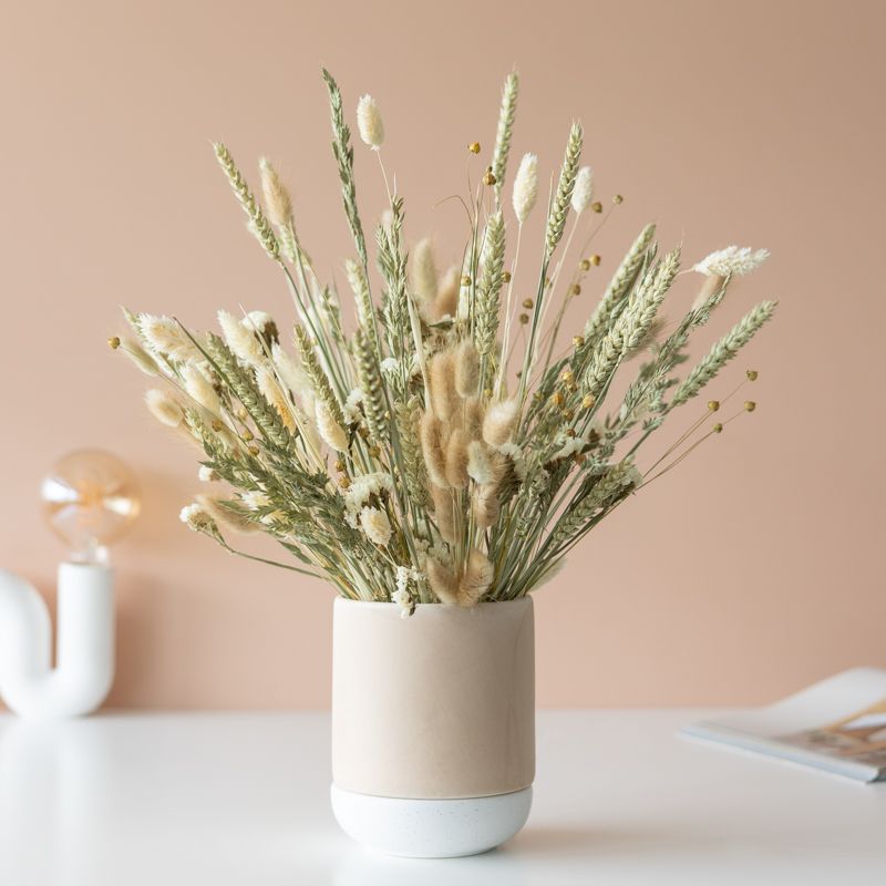 backend-media_library.no_image_found