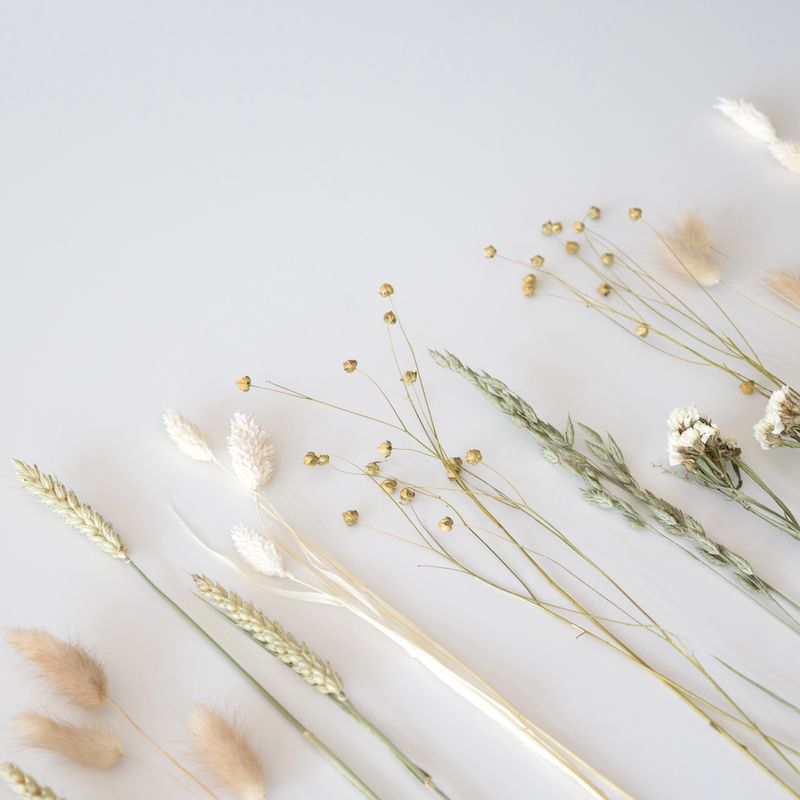 backend-media_library.no_image_found