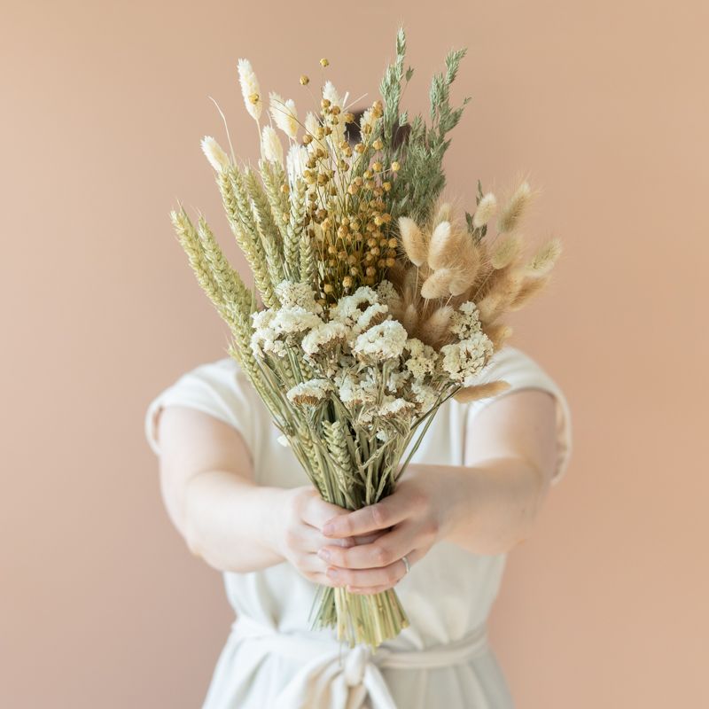 backend-media_library.no_image_found